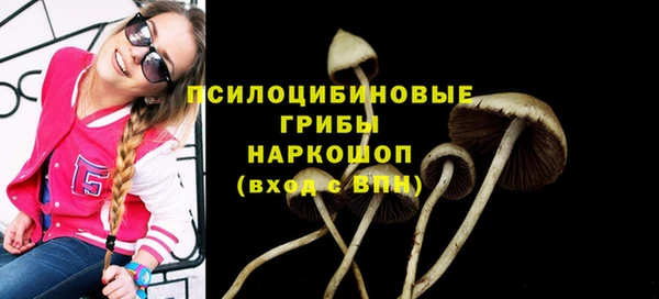 трава Армянск