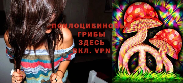 прущие грибы Магас
